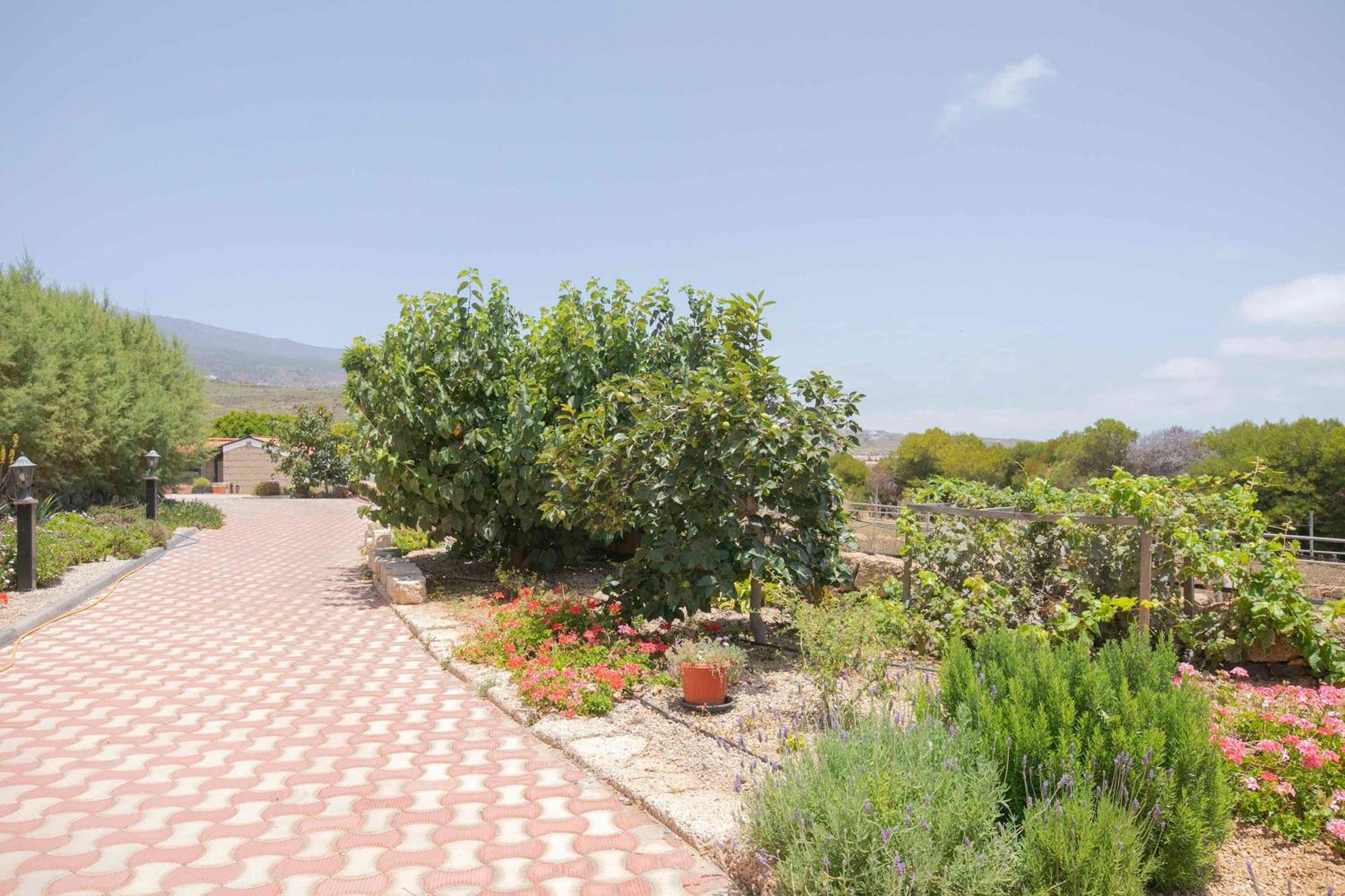 Casa Wayra Villa Granadilla De Abona Exterior foto